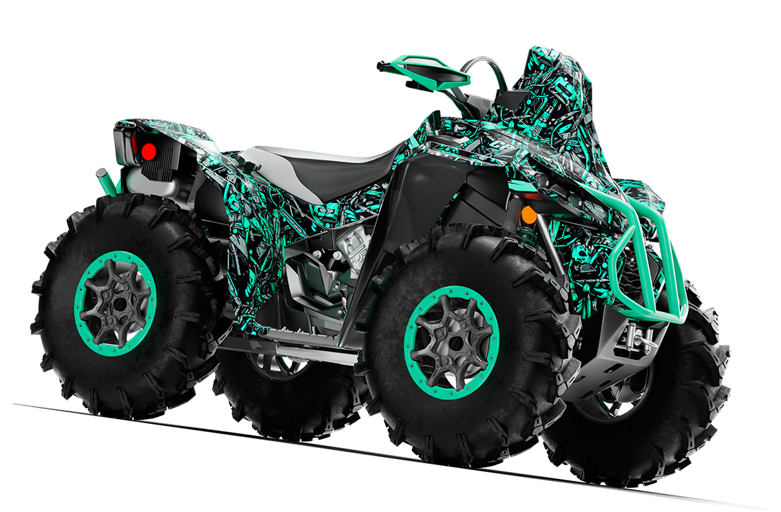 Наклейки CAN-AM RENEGADE 001_0