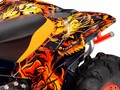 Наклейки CAN-AM RENEGADE 002_3