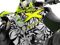 Наклейки CAN-AM RENEGADE 003_1