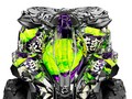 Наклейки CAN-AM RENEGADE 003_2