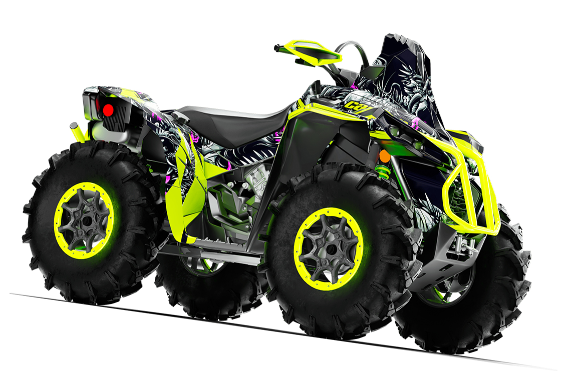 Наклейки CAN-AM RENEGADE 004_0