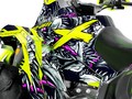 Наклейки CAN-AM RENEGADE 004_1