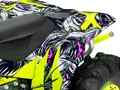 Наклейки CAN-AM RENEGADE 004_3