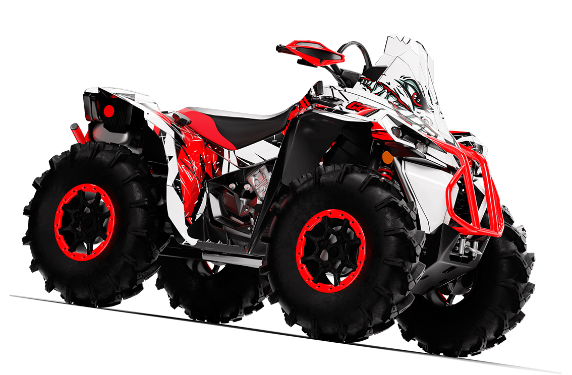 Наклейки CAN-AM RENEGADE 005_0