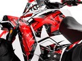 Наклейки CAN-AM RENEGADE 005_1