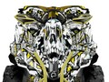 Наклейки CAN-AM RENEGADE 007_2