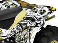 Наклейки CAN-AM RENEGADE 007_3
