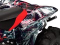 Наклейки CAN-AM RENEGADE 009_2