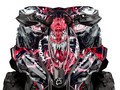 Наклейки CAN-AM RENEGADE 009_3