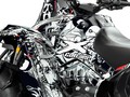 Наклейки CAN-AM RENEGADE 010_1
