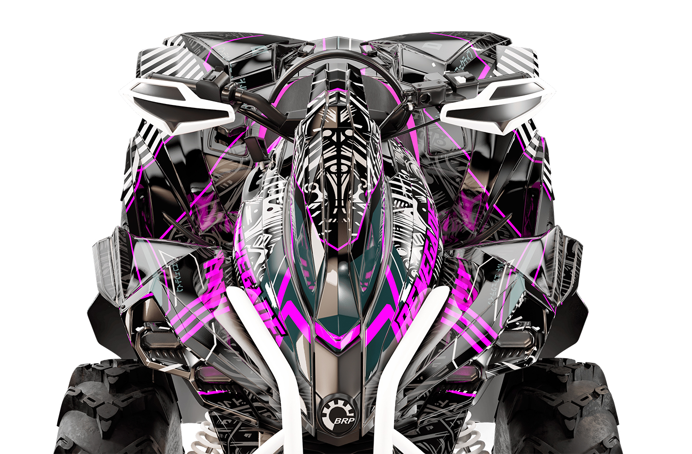 Наклейки CAN-AM RENEGADE 011_2
