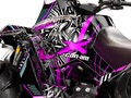 Наклейки CAN-AM RENEGADE 011_1