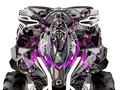 Наклейки CAN-AM RENEGADE 011_2