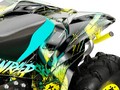 Наклейки CAN-AM RENEGADE 012_3