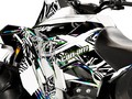 Наклейки CAN-AM RENEGADE 013_1