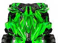 Наклейки CAN-AM RENEGADE 014_2