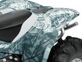 Наклейки CAN-AM RENEGADE 016_3