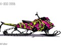 Наклейки Ski-doo Summit G4 022_1