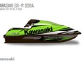 Наклейки Kawasaki SX-R 1500 006_0