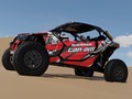 Наклейки Can Am Maverick X3 034_4