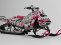 Наклейки Ski-doo Summit REV GEN5 026_0