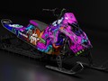Наклейки Polaris Matryx 024_0