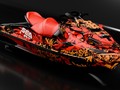 Наклейки на гидроцикл SEA-DOO RXP/GTX 050_0
