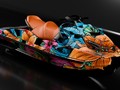 Наклейки на гидроцикл SEA-DOO RXP/GTX 059_0